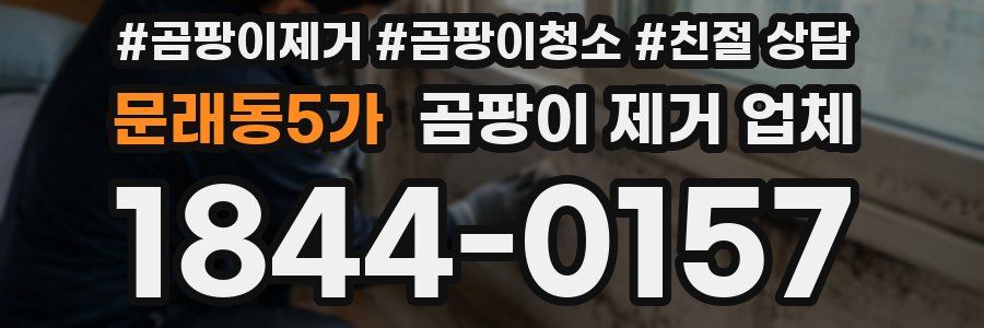 문래동5가 곰팡이 제거 업체