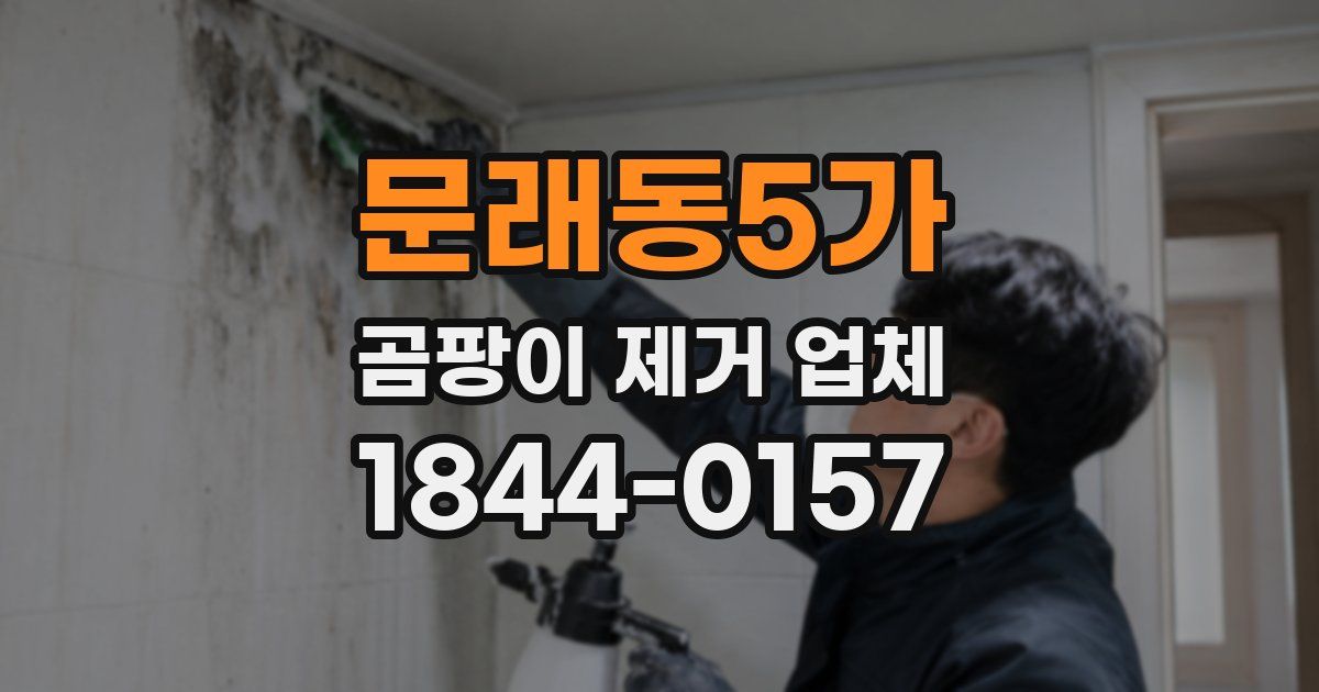 문래동5가 곰팡이 제거 업체