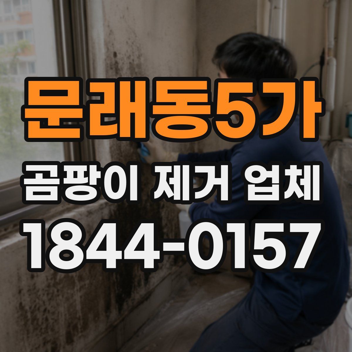 문래동5가 곰팡이 제거 업체