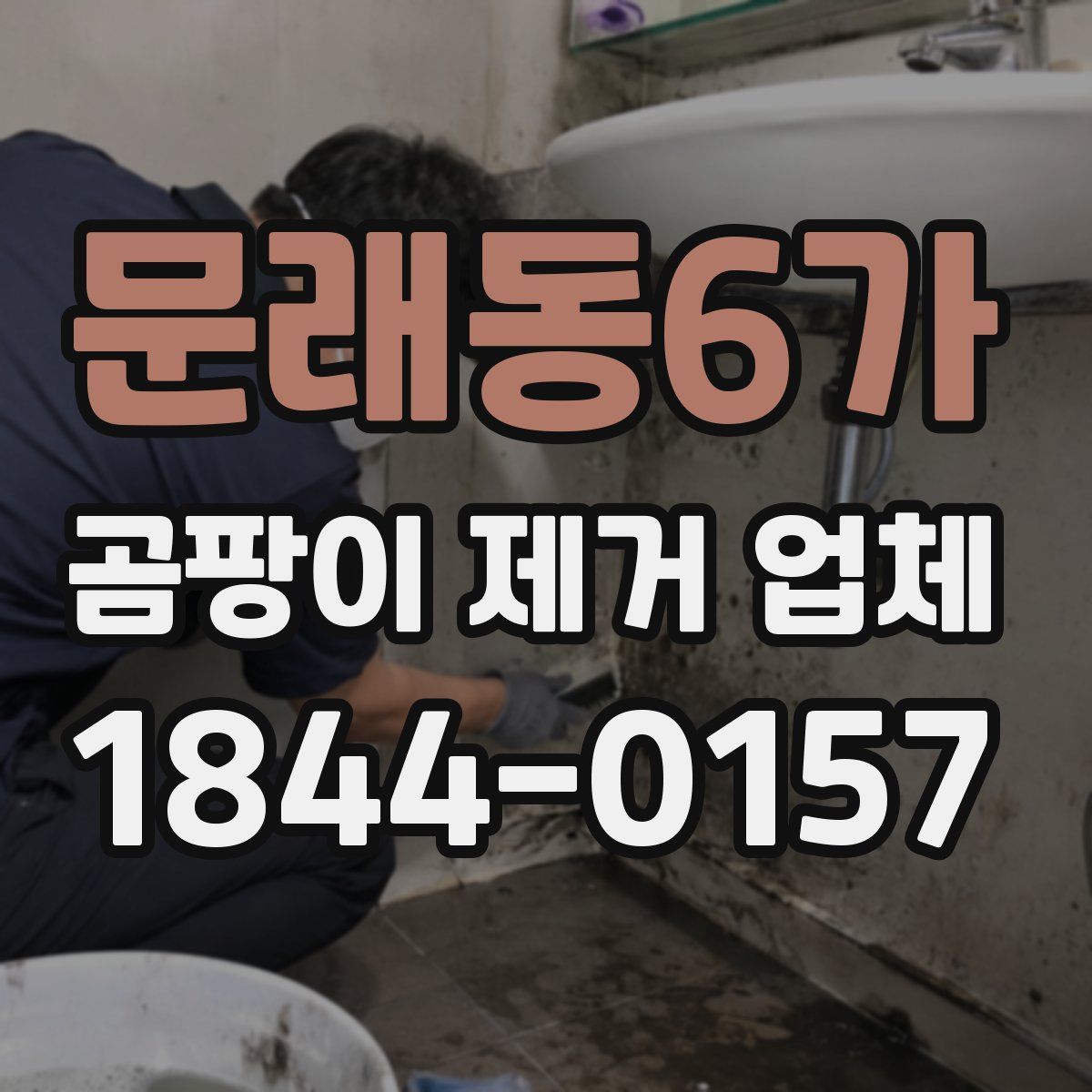 문래동6가 곰팡이 제거 업체