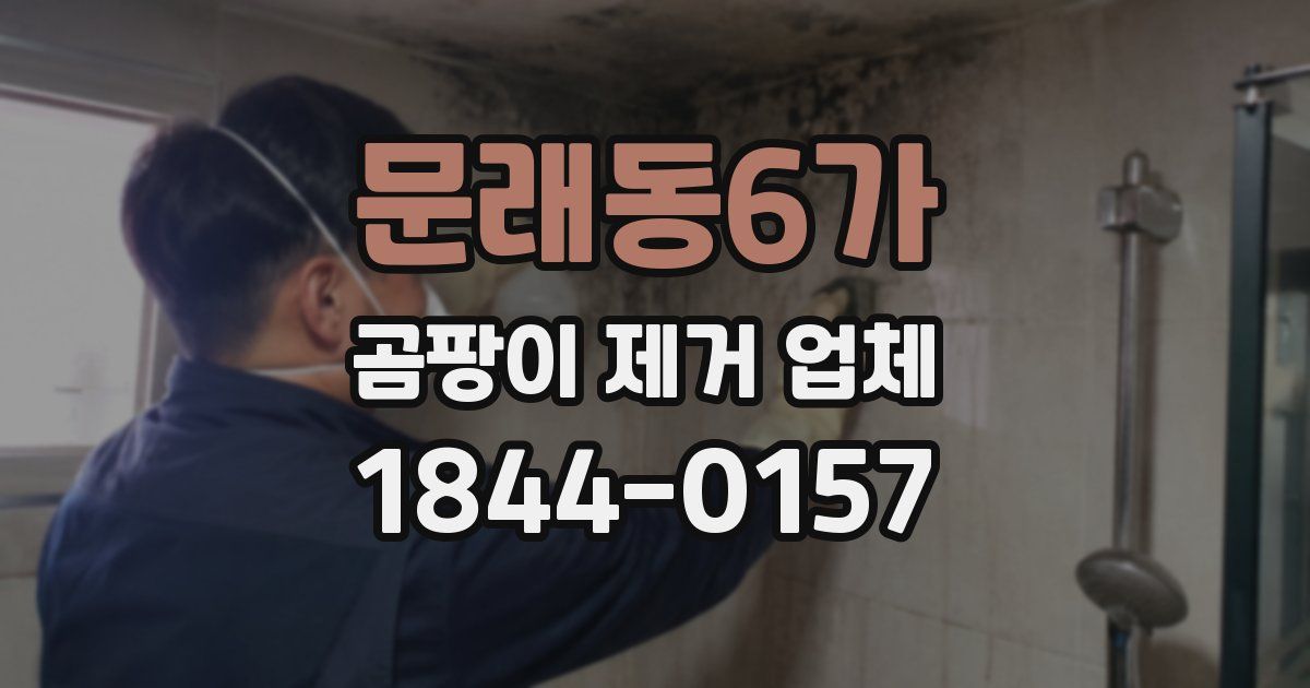 문래동6가 곰팡이 제거 업체