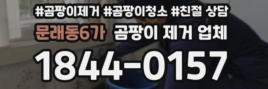 문래동6가 곰팡이 제거 업체