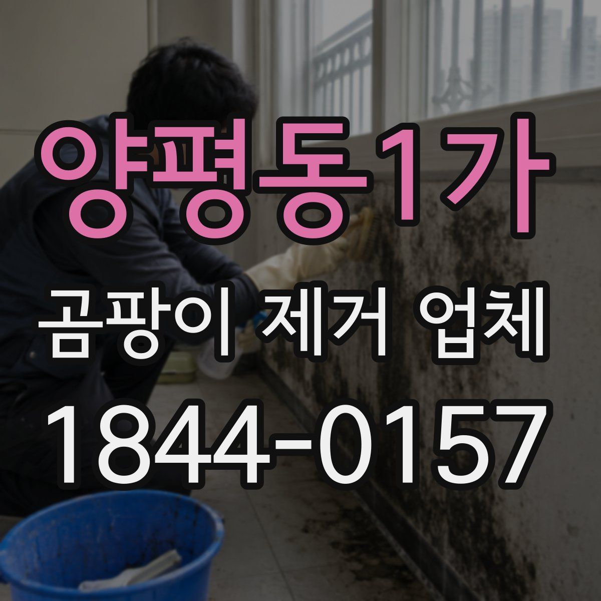 양평동1가 곰팡이 제거 업체