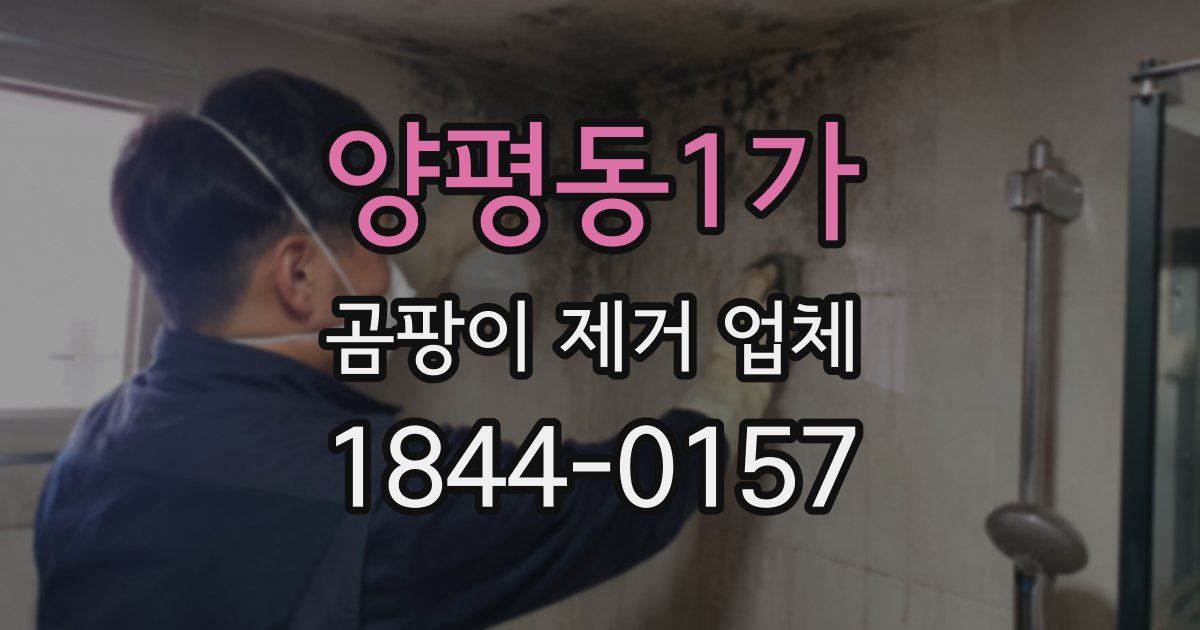 양평동1가 곰팡이 제거 업체