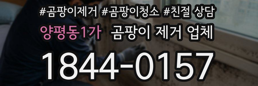 양평동1가 곰팡이 제거 업체