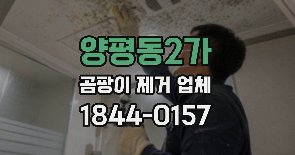 양평동2가 곰팡이 제거 업체