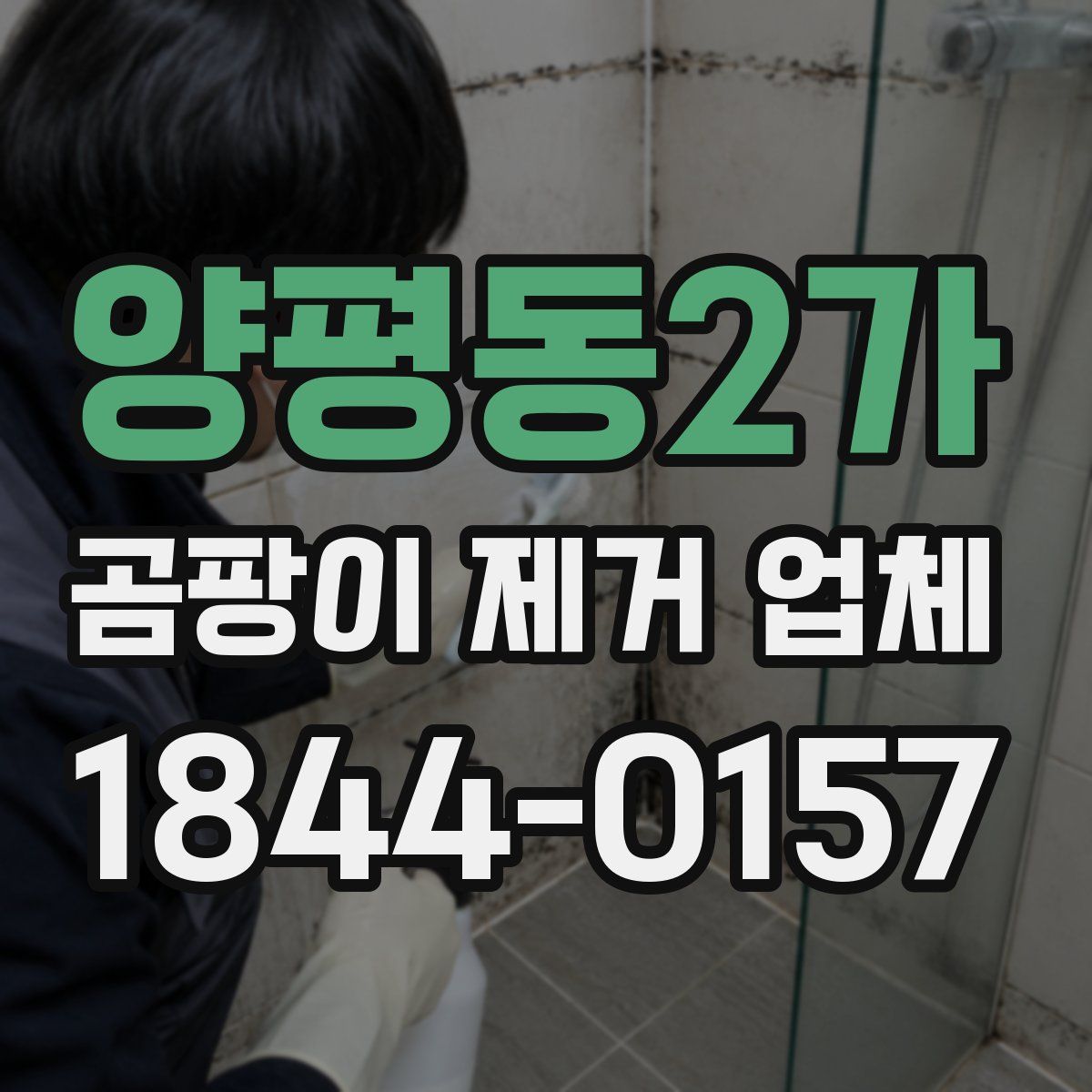 양평동2가 곰팡이 제거 업체