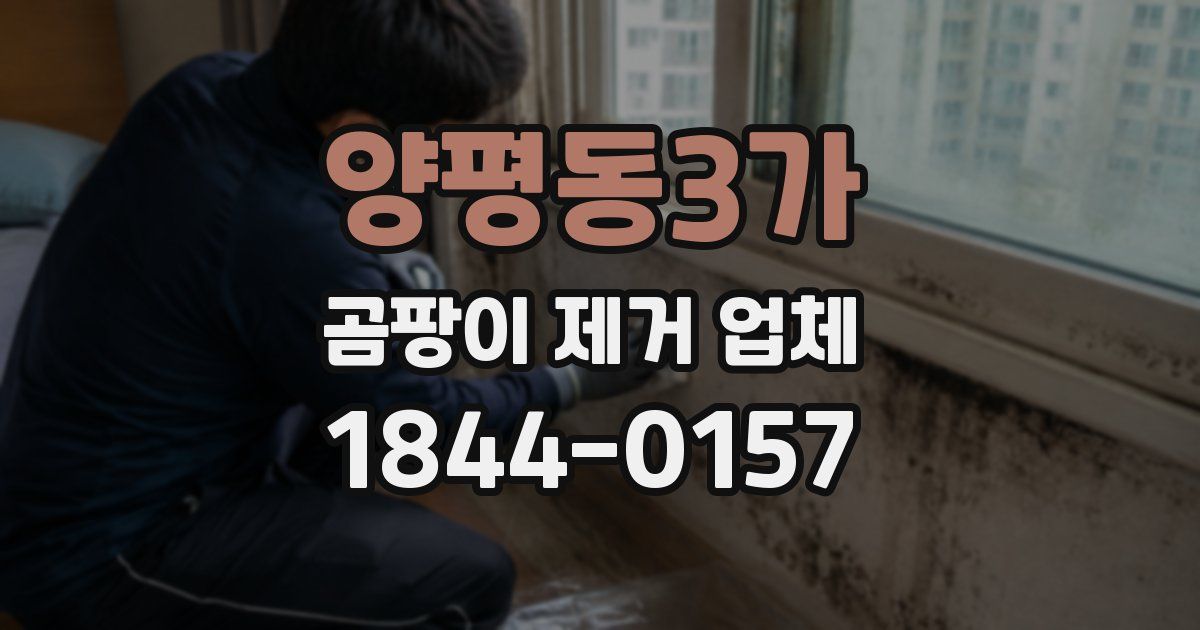 양평동3가 곰팡이 제거 업체