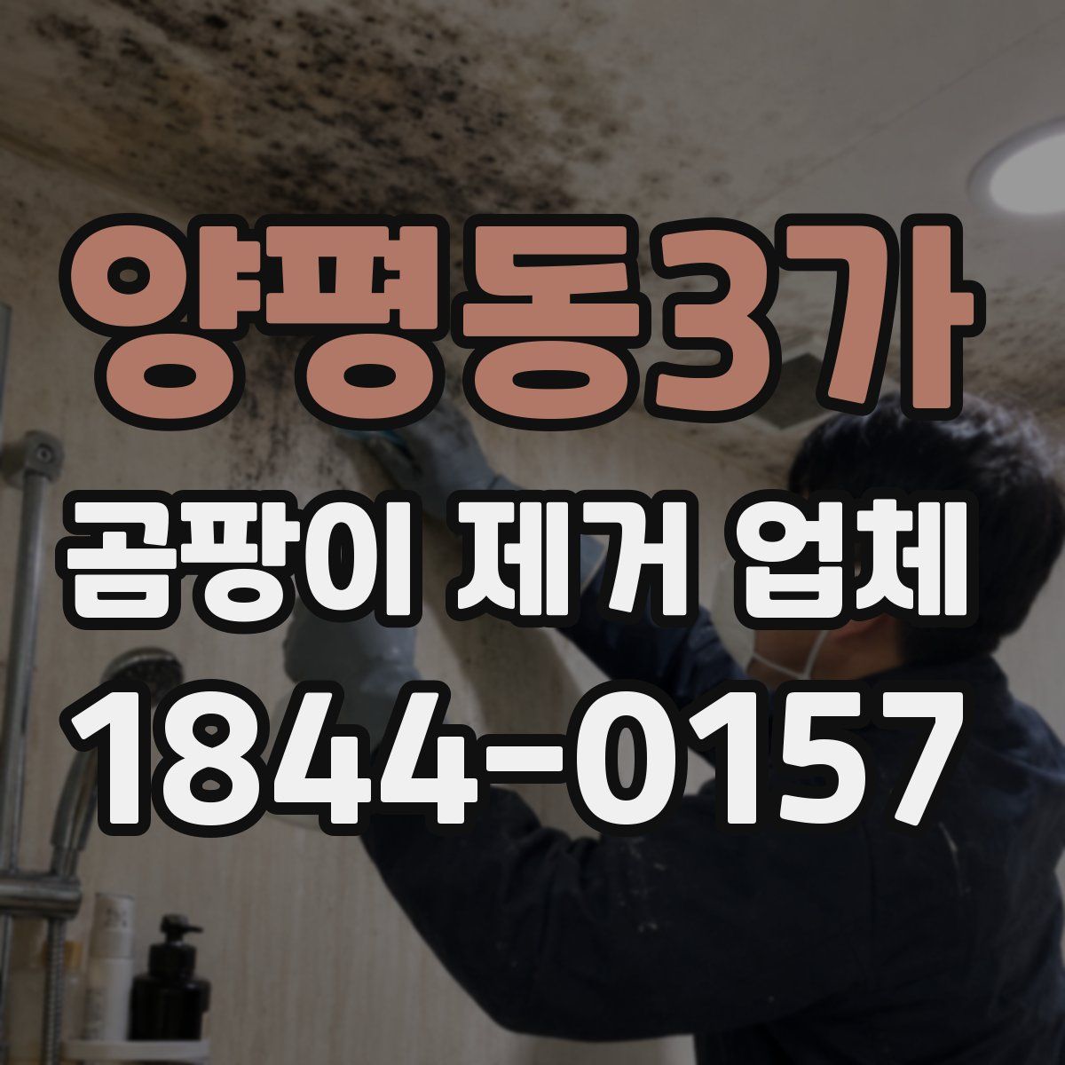 양평동3가 곰팡이 제거 업체