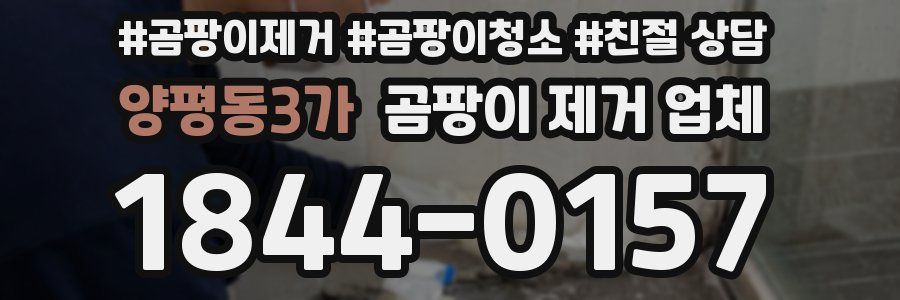 양평동3가 곰팡이 제거 업체