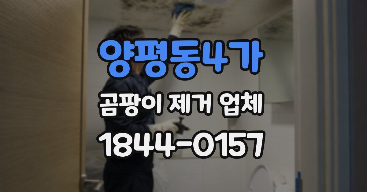 양평동4가 곰팡이 제거 업체