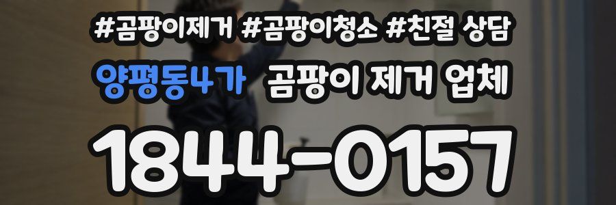 양평동4가 곰팡이 제거 업체