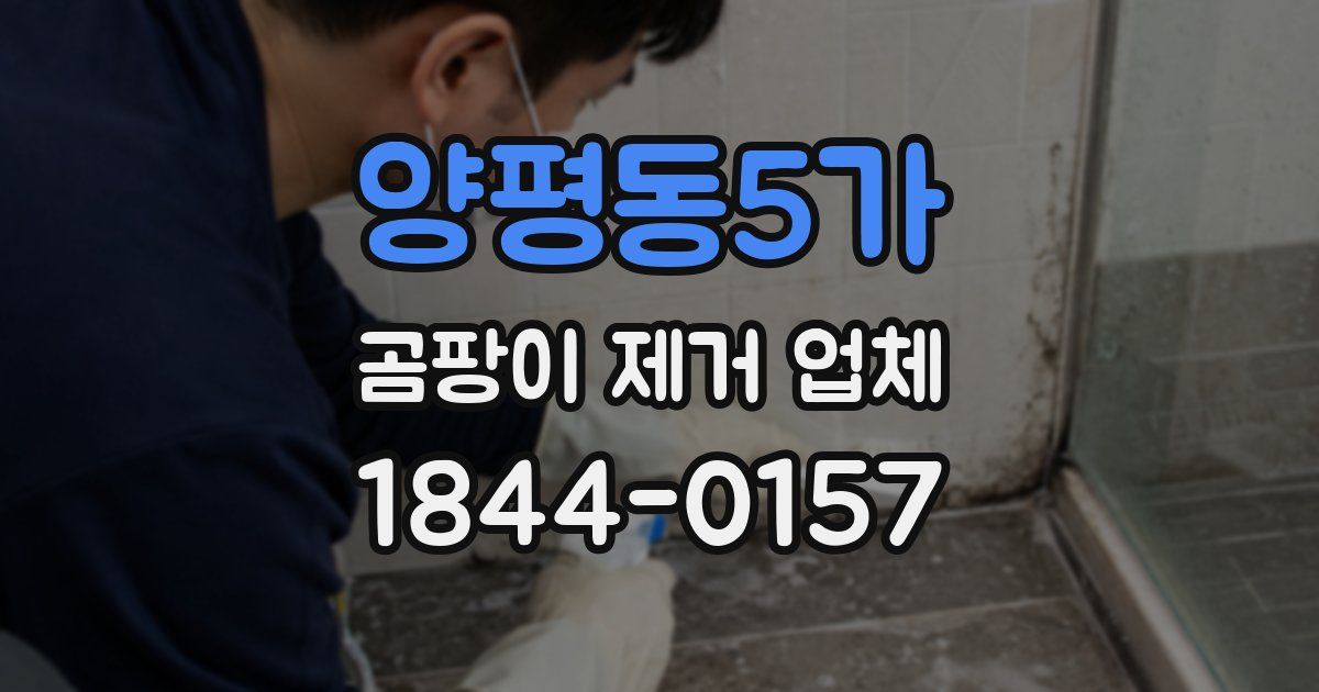 양평동5가 곰팡이 제거 업체
