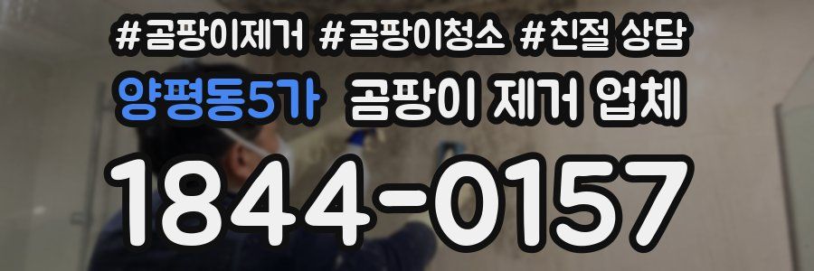 양평동5가 곰팡이 제거 업체