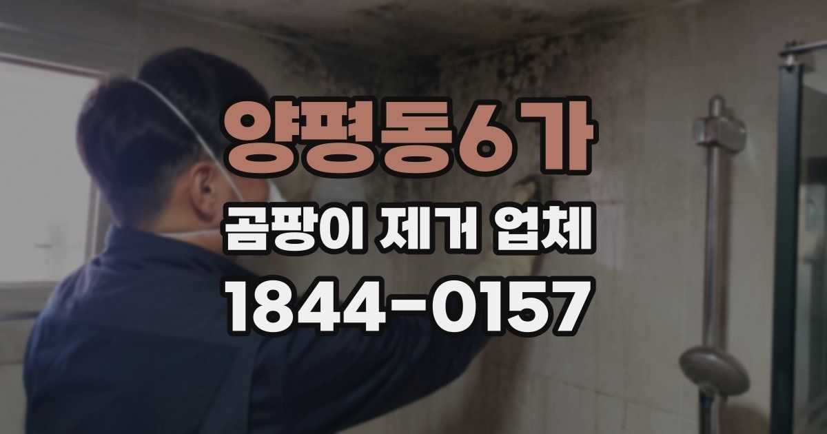 양평동6가 곰팡이 제거 업체