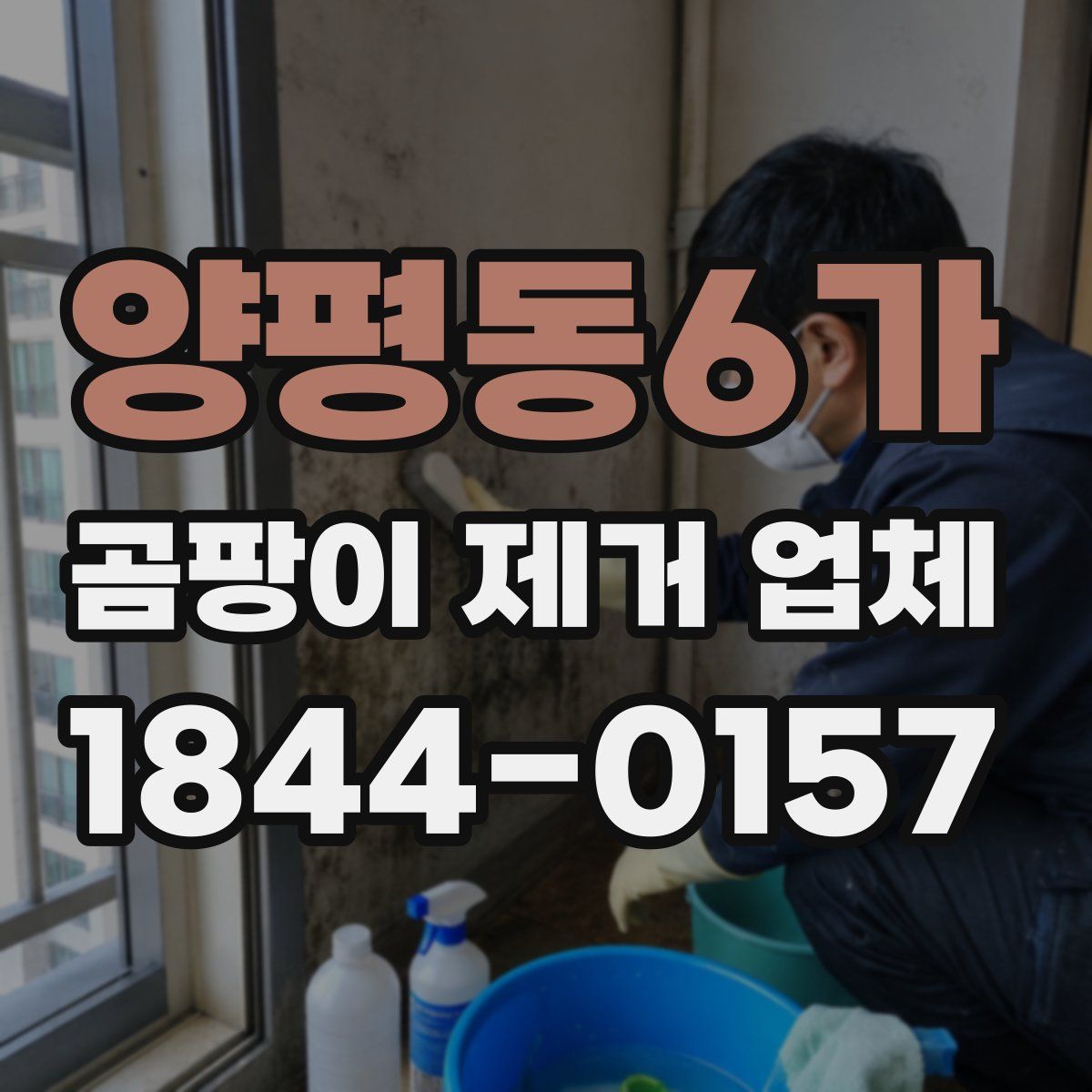 양평동6가 곰팡이 제거 업체