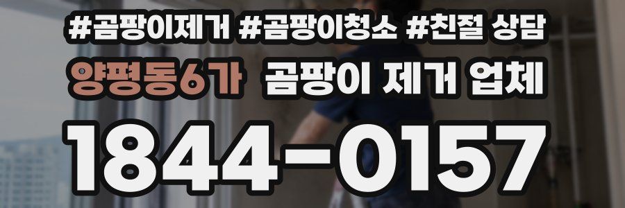 양평동6가 곰팡이 제거 업체