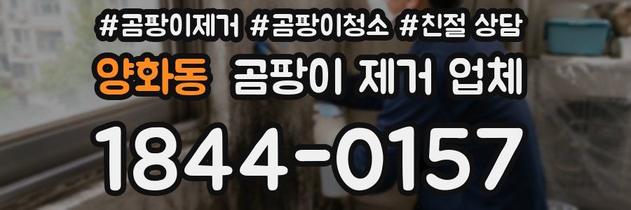 양화동 곰팡이 제거 업체
