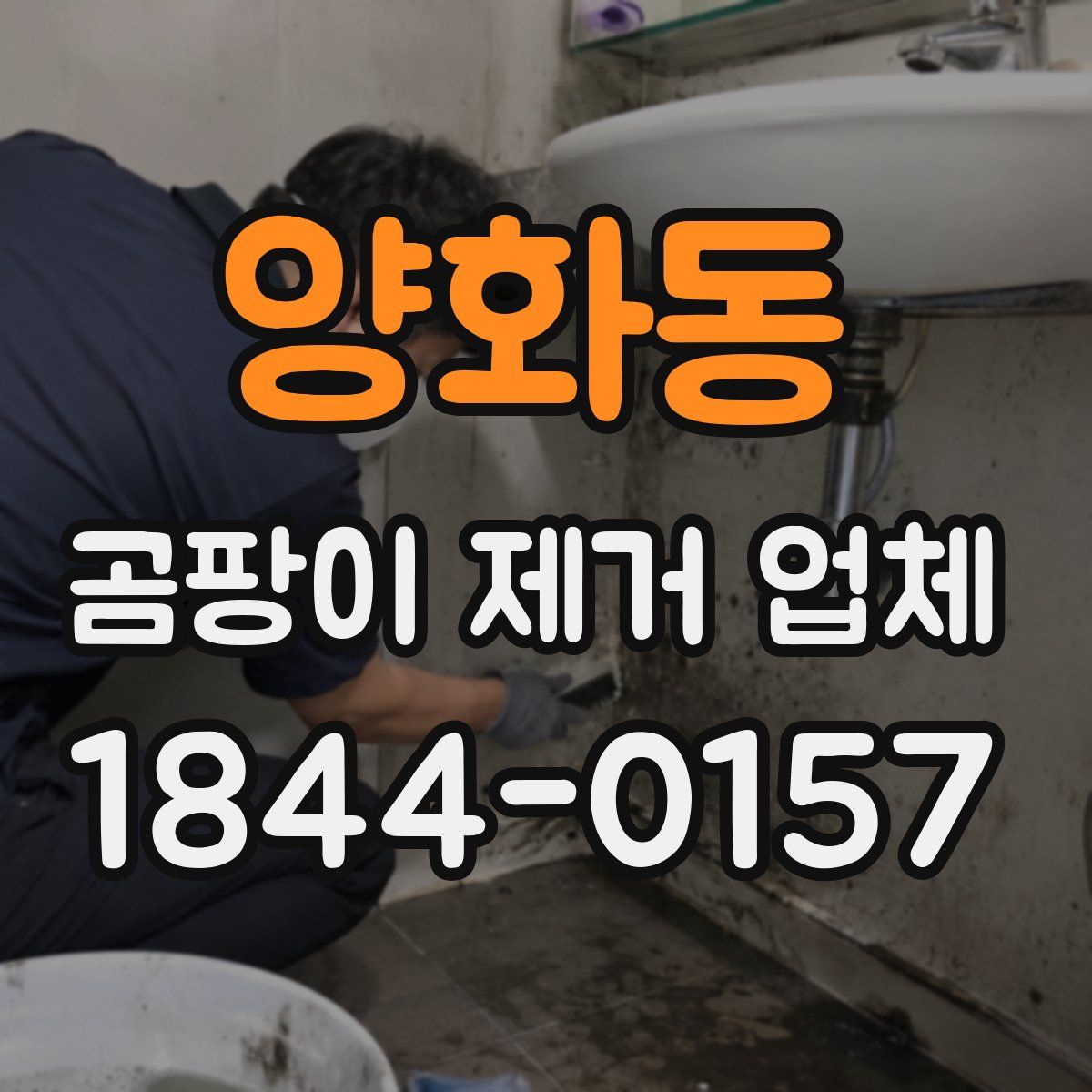 양화동 곰팡이 제거 업체