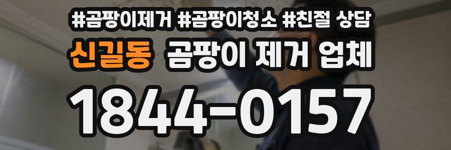 신길동 곰팡이 제거 업체