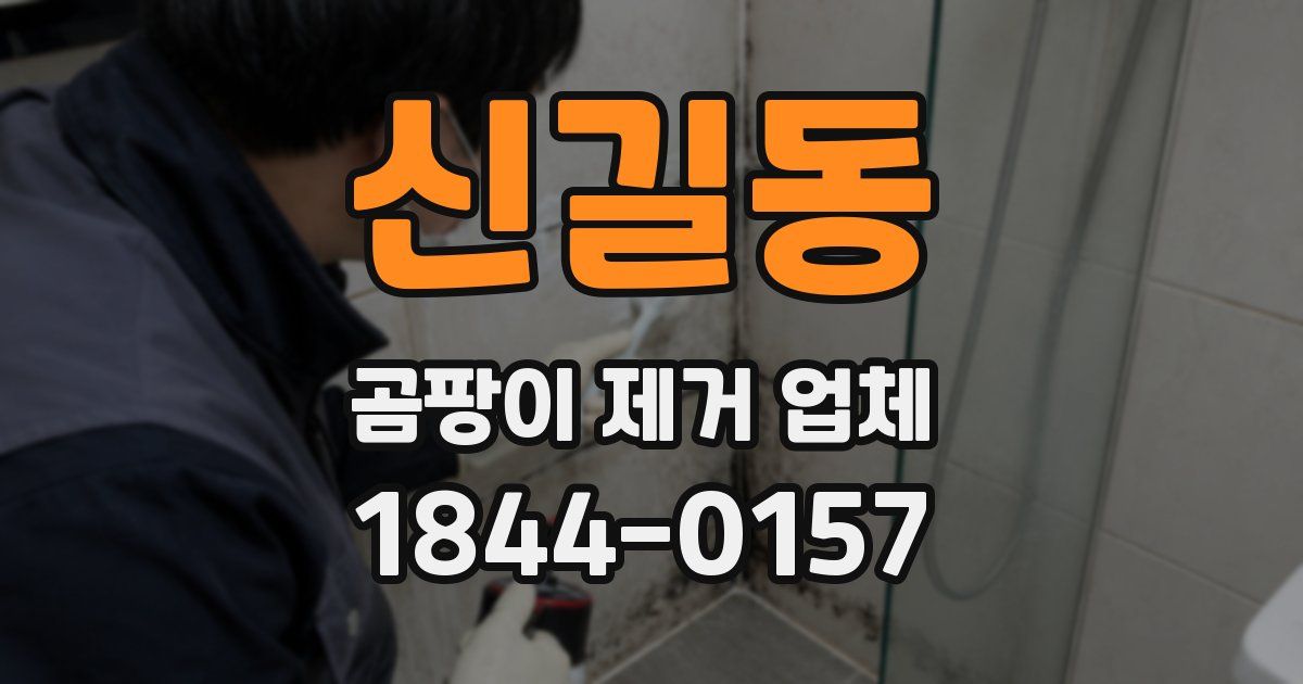 신길동 곰팡이 제거 업체