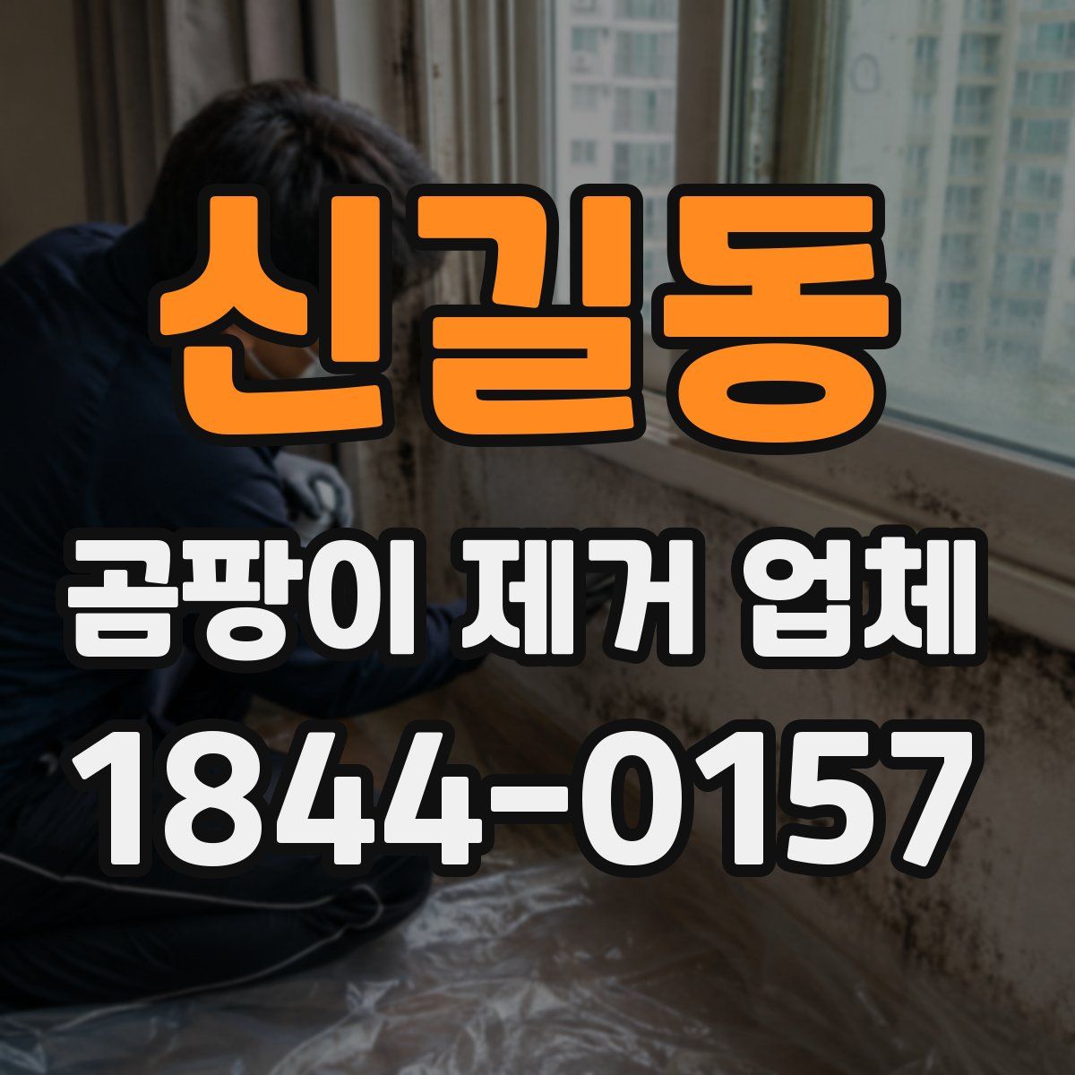 신길동 곰팡이 제거 업체