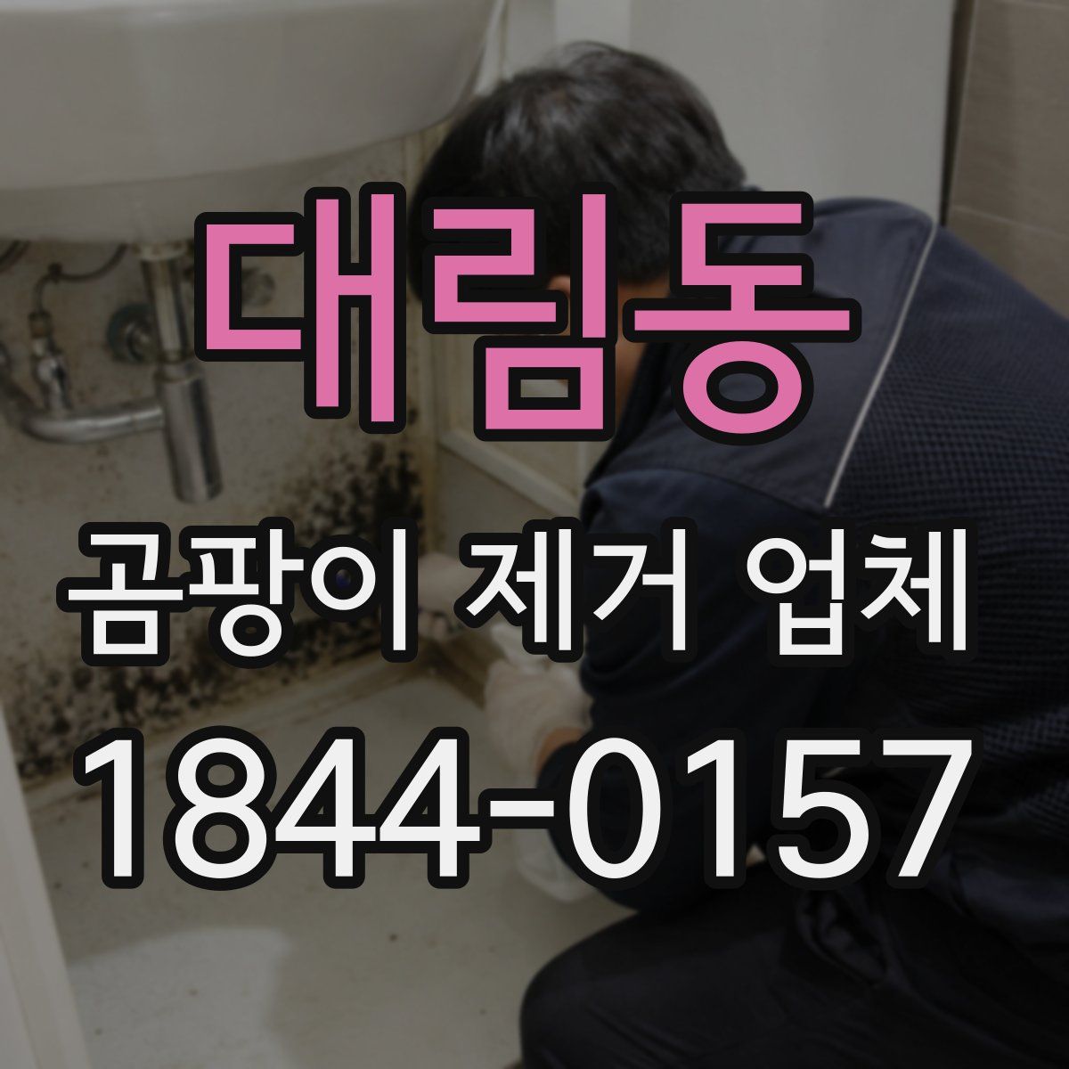 대림동 곰팡이 제거 업체