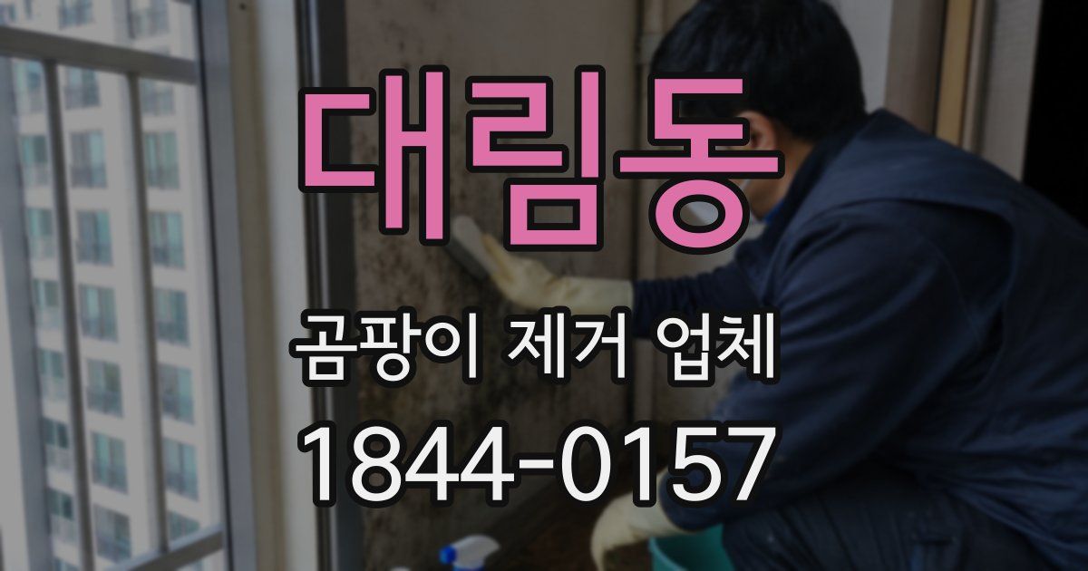 대림동 곰팡이 제거 업체