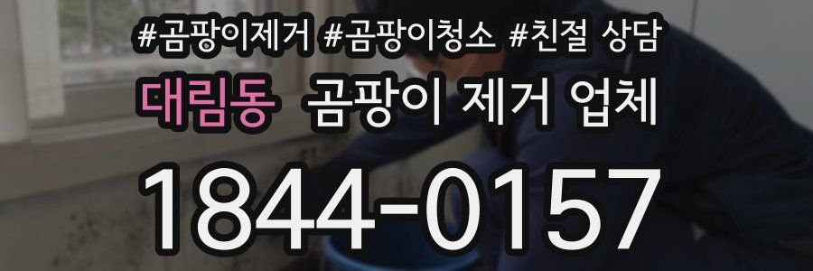 대림동 곰팡이 제거 업체