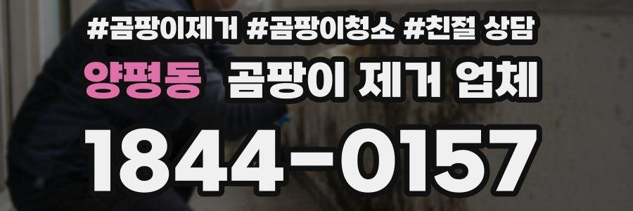 양평동 곰팡이 제거 업체