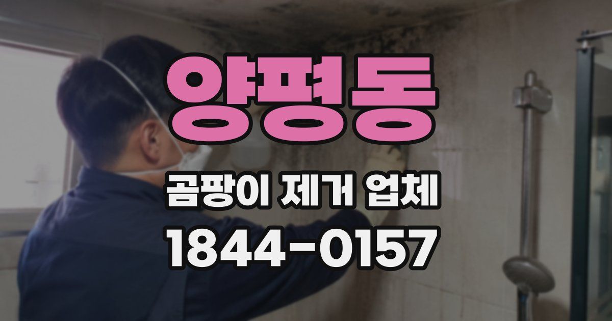 양평동 곰팡이 제거 업체