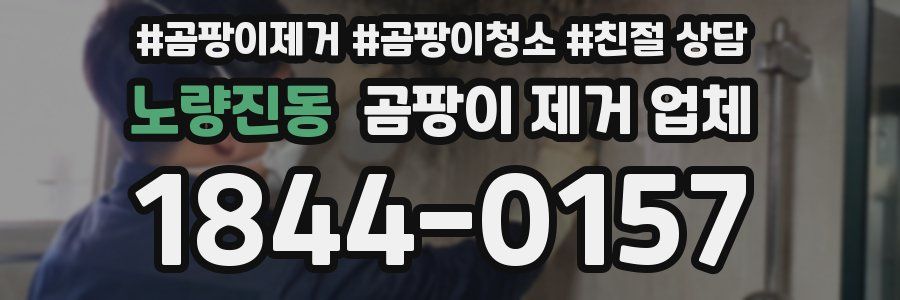 노량진동 곰팡이 제거 업체