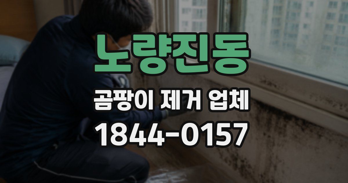 노량진동 곰팡이 제거 업체