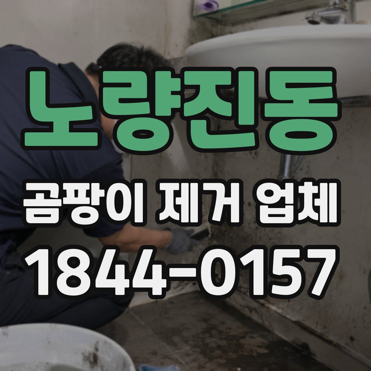 노량진동 곰팡이 제거 업체