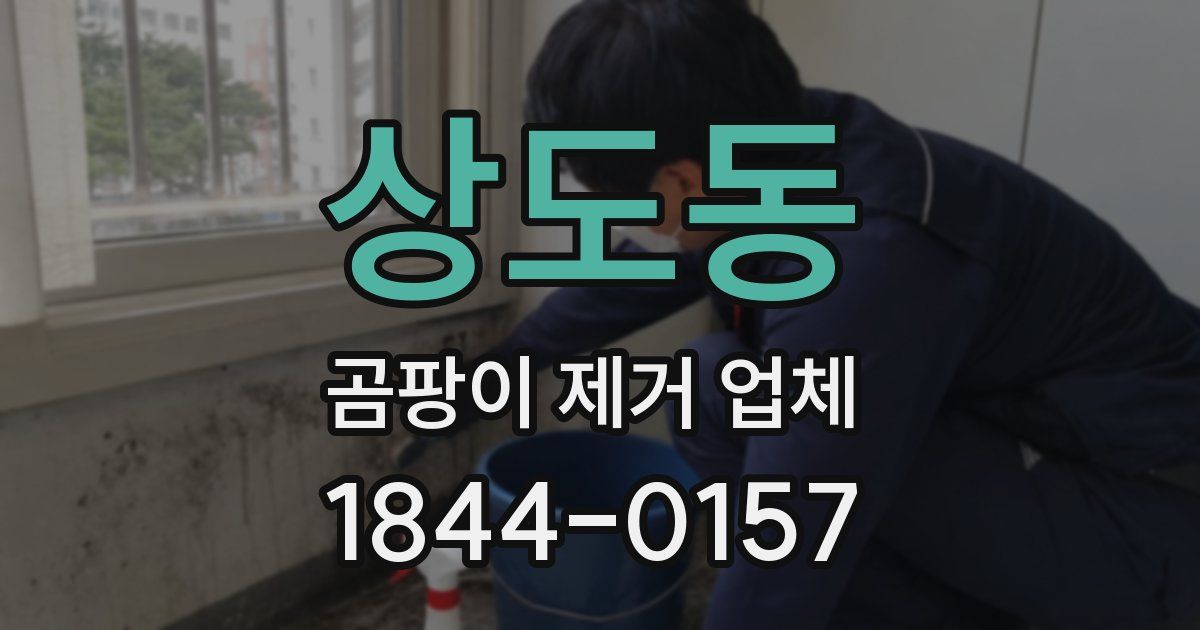 상도동 곰팡이 제거 업체