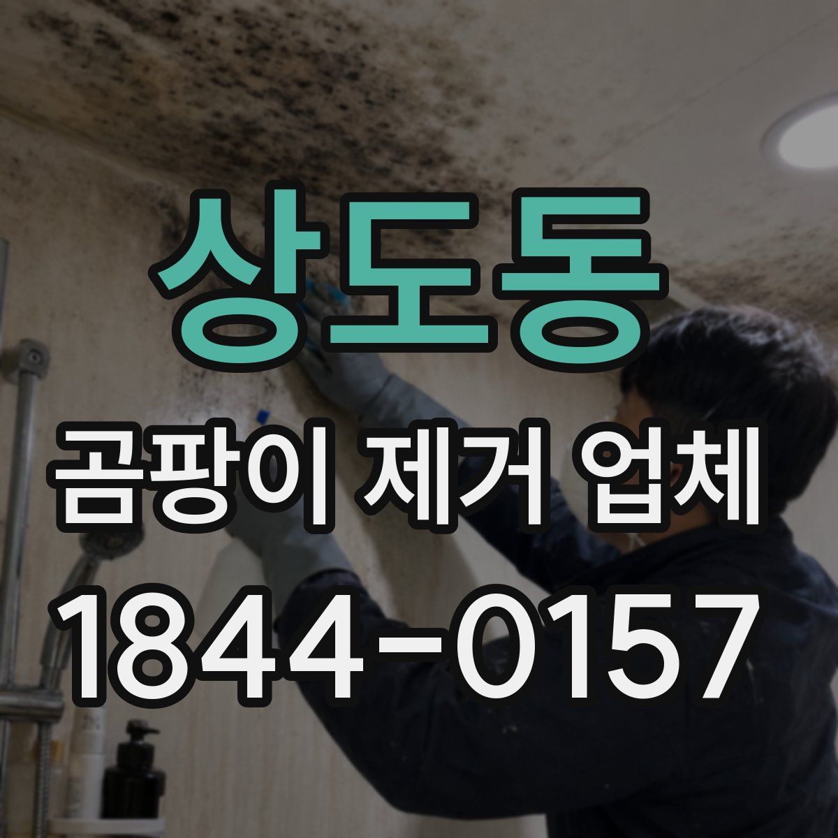 상도동 곰팡이 제거 업체