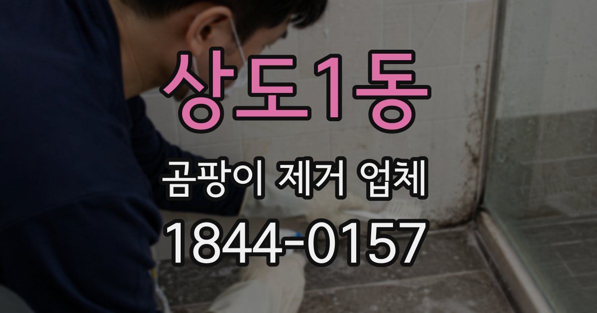 상도1동 곰팡이 제거 업체