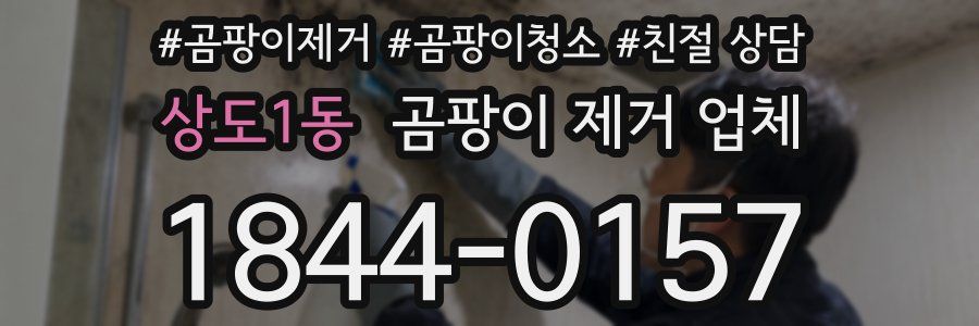 상도1동 곰팡이 제거 업체