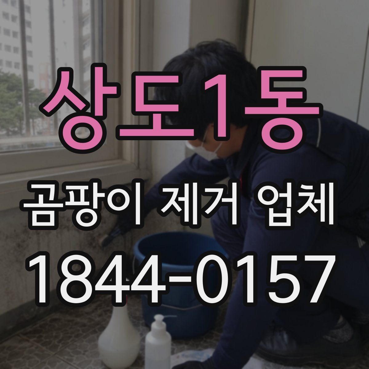 상도1동 곰팡이 제거 업체