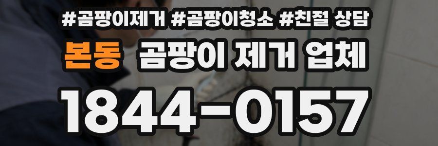본동 곰팡이 제거 업체