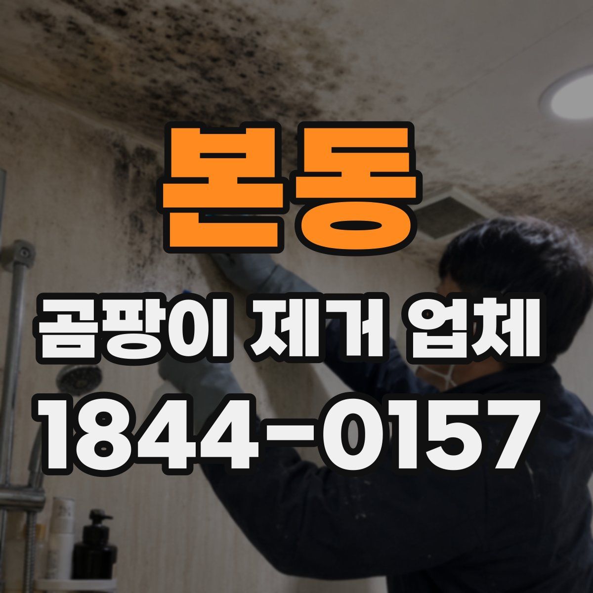 본동 곰팡이 제거 업체