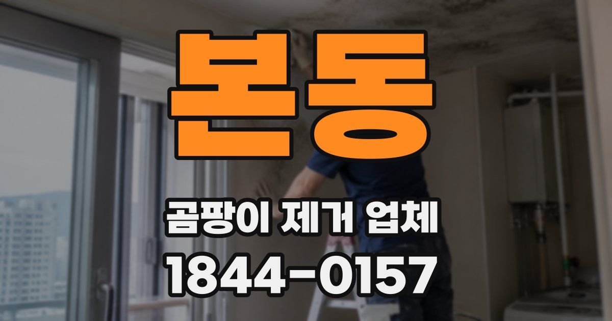 본동 곰팡이 제거 업체