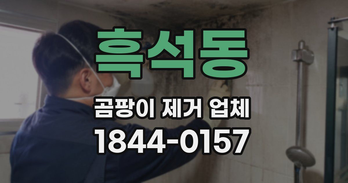 흑석동 곰팡이 제거 업체