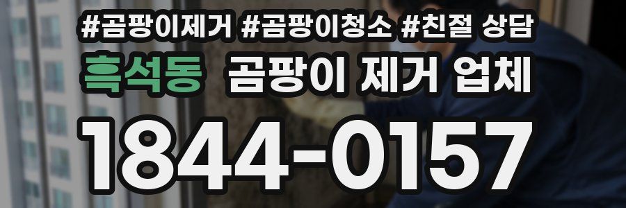 흑석동 곰팡이 제거 업체