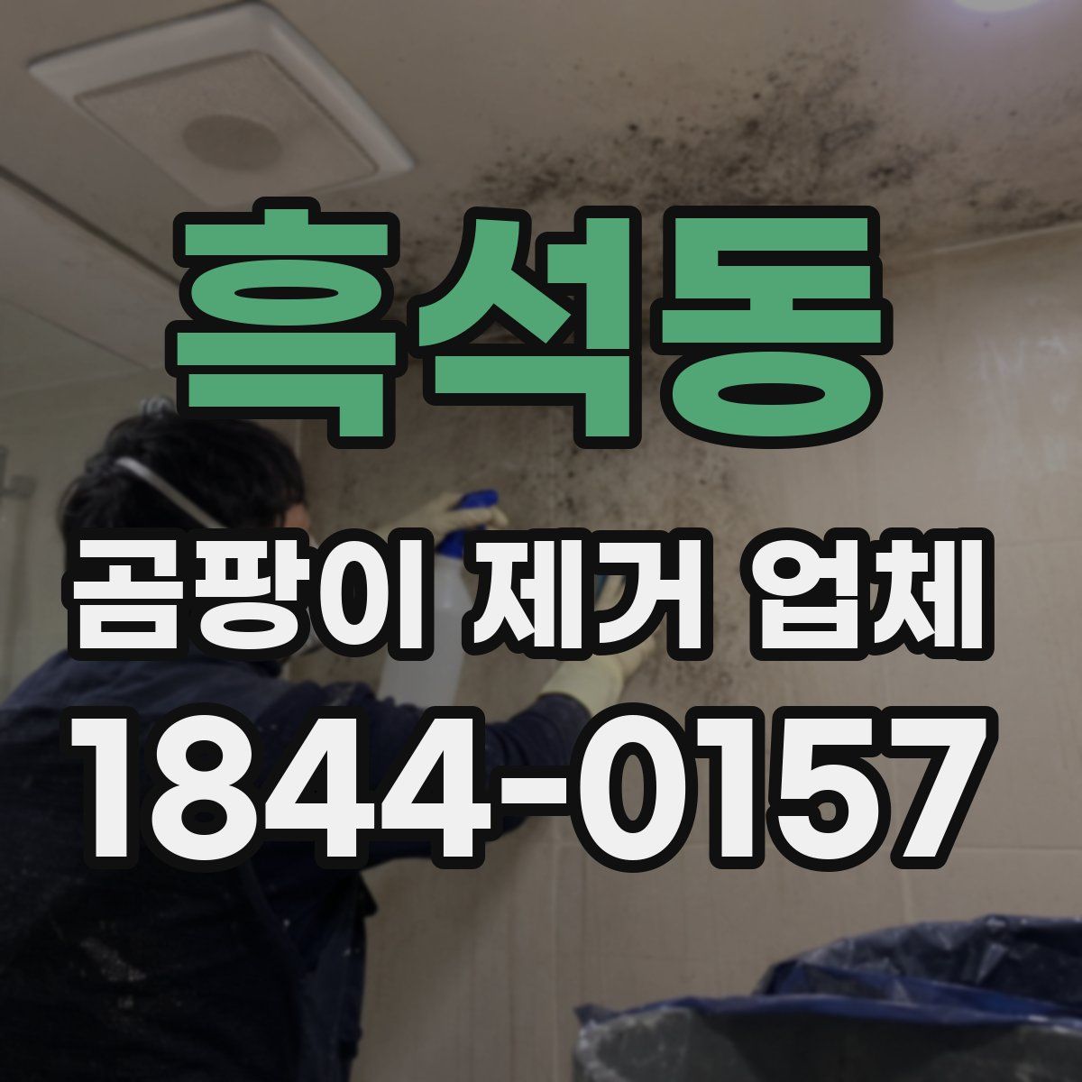 흑석동 곰팡이 제거 업체
