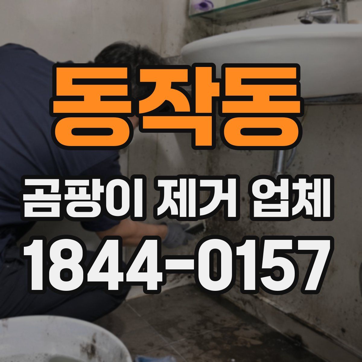 동작동 곰팡이 제거 업체