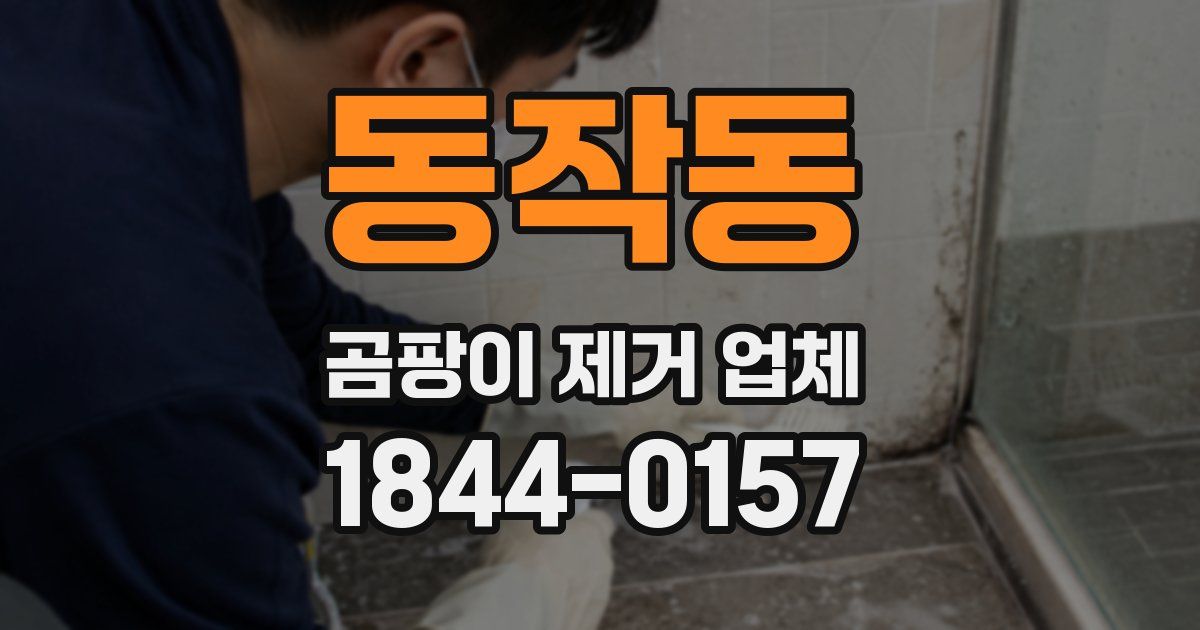 동작동 곰팡이 제거 업체