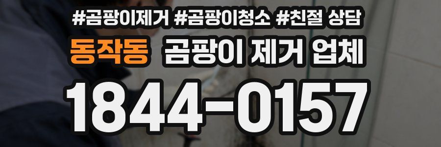동작동 곰팡이 제거 업체