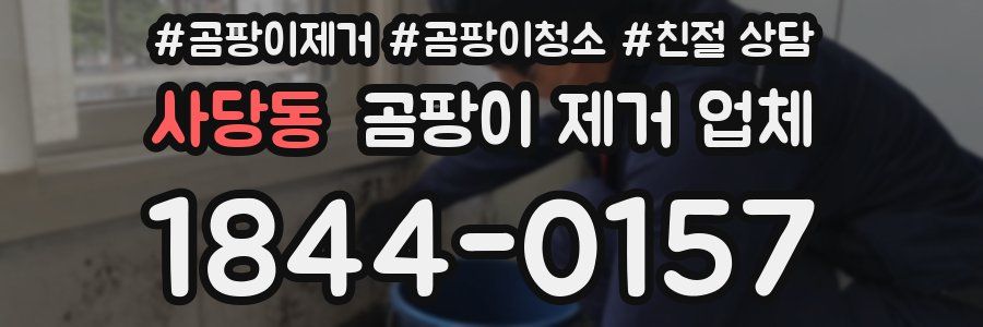 사당동 곰팡이 제거 업체