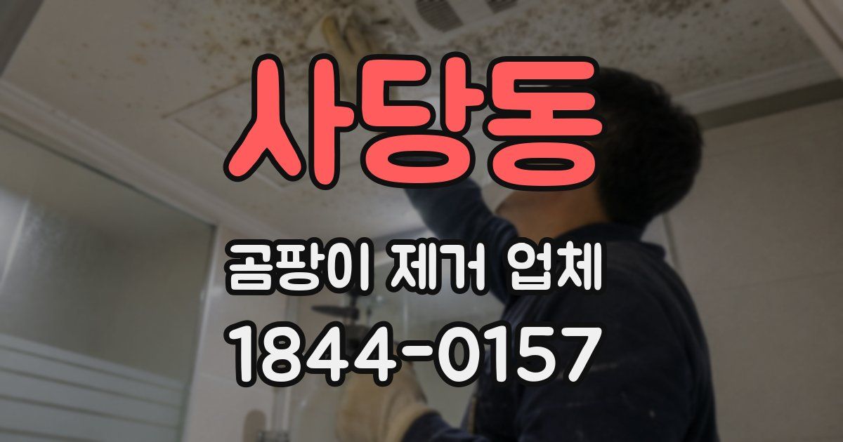 사당동 곰팡이 제거 업체